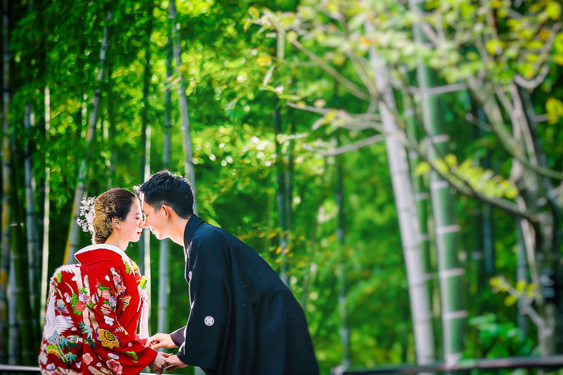 アフロディーテ田川店