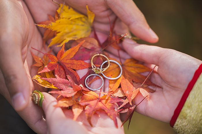 撮影レポートNo.152-06